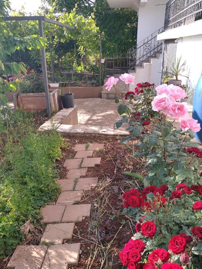 דוברה וודה Aparttoni מראה חיצוני תמונה